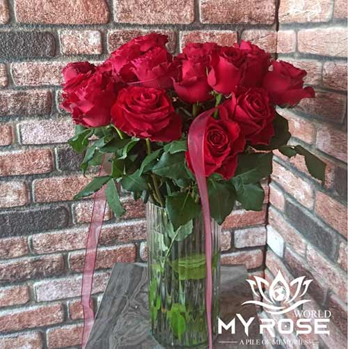 My Rose World – (Menderes Çiçekçi)
