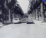 Eski İzmir Fotoğrafları - Eski İzmir Fuarı Fotoğrafları